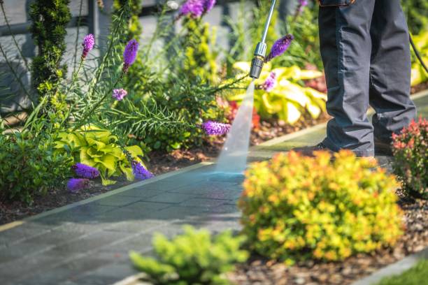 Clearfield, PA Pressure Washing Company