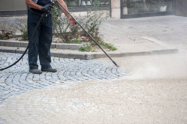 Best Driveway Pressure Washing  in Clearfield, PA